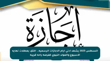 أغسطس 2025 يشهد أدنى أيام الإجازات الرسمية.. اكتفِ بعطلات نهاية الأسبوع والمولد النبوي كفرصة راحة قريبة